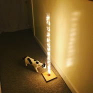 led tube light.JPG