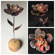 SmCopperFlower.JPG